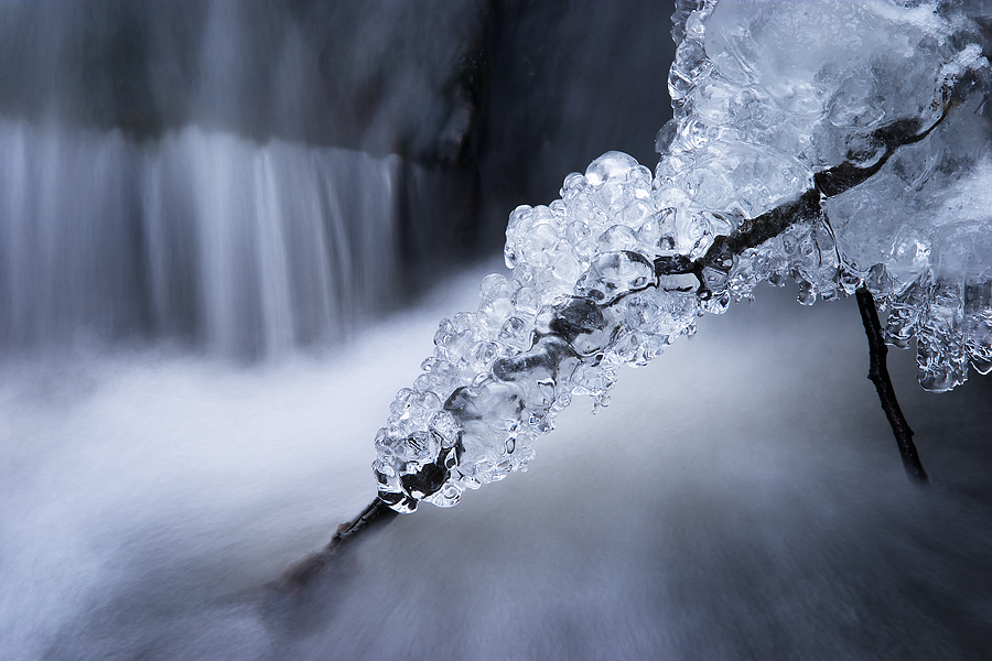  Fotografie Zimní království, Průhonický park