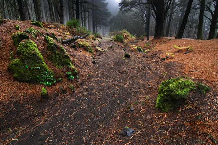  Fotografie Podzimní cesta, Kanárské ostrovy -  U tábořiště El Pilar na ostrově La Palma.