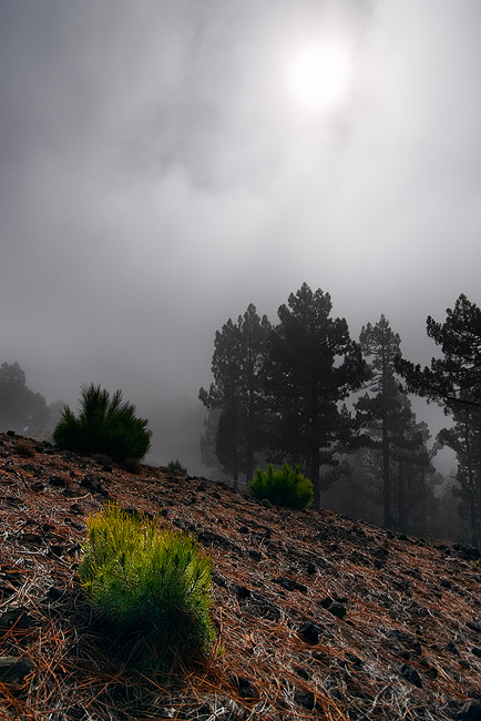  Fotografie Kanárské ostrovy, Sopečná krajina - Z cesty vulkánů na ostrově La Palma.