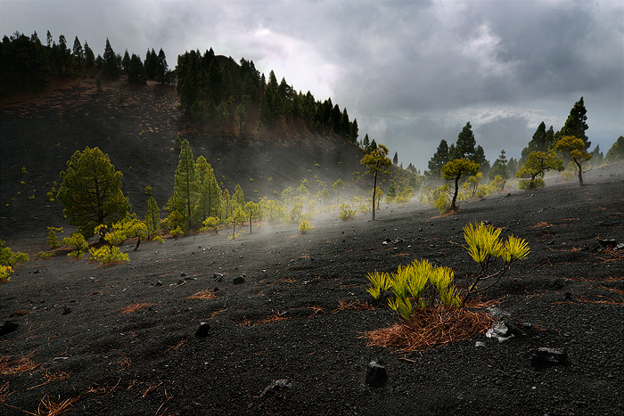  Fotografie Krajina sopek, Kanárské ostrovy - Krajina poznamenaná sopečnou činností v jižní části ostrova La Palma.