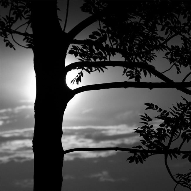  Fotografie Před koncem dne