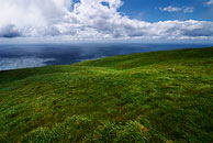 fotografie U moře - ostrov Pico, Azorské ostrovy (Azory) 