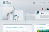 fotografie Grafika internetových stránek společnosti CTECH. 