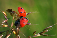 fotografie Vzhůru do světa, Praha - Hostivař