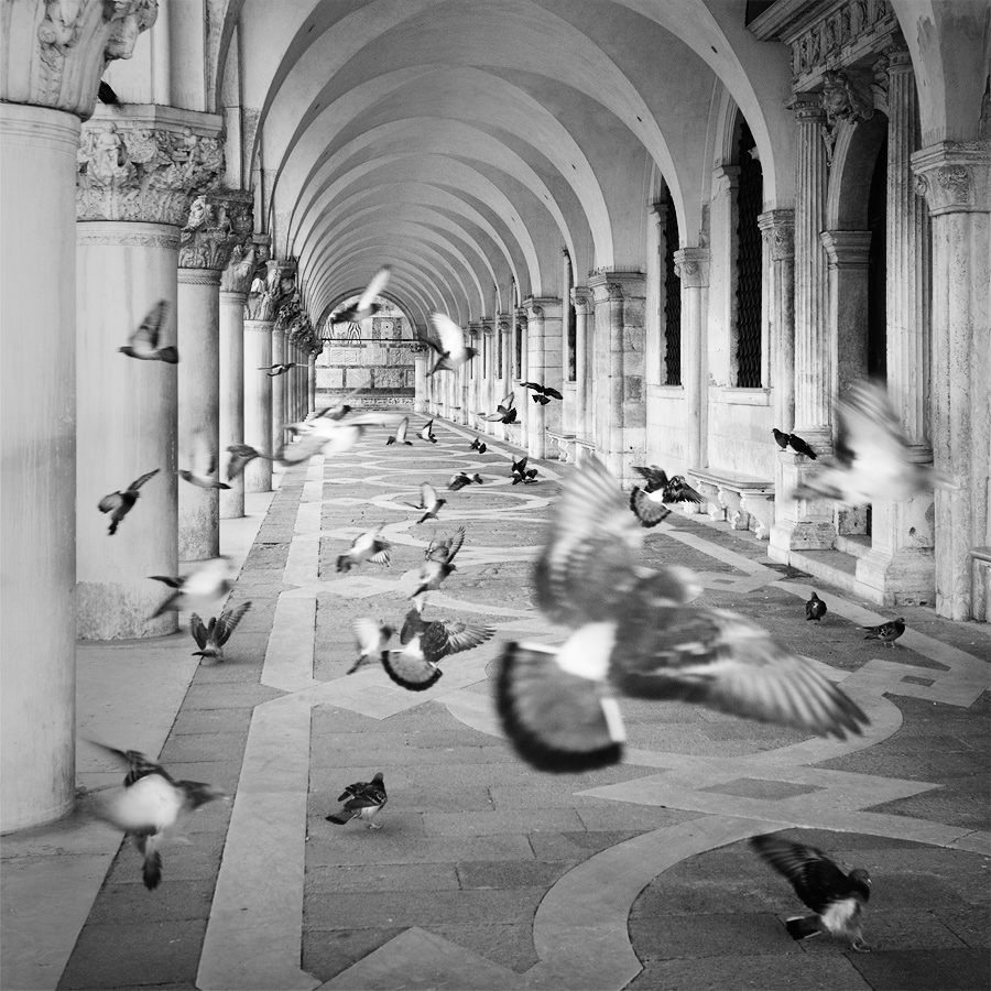  Fotografie Podloubí Dóžecího paláce