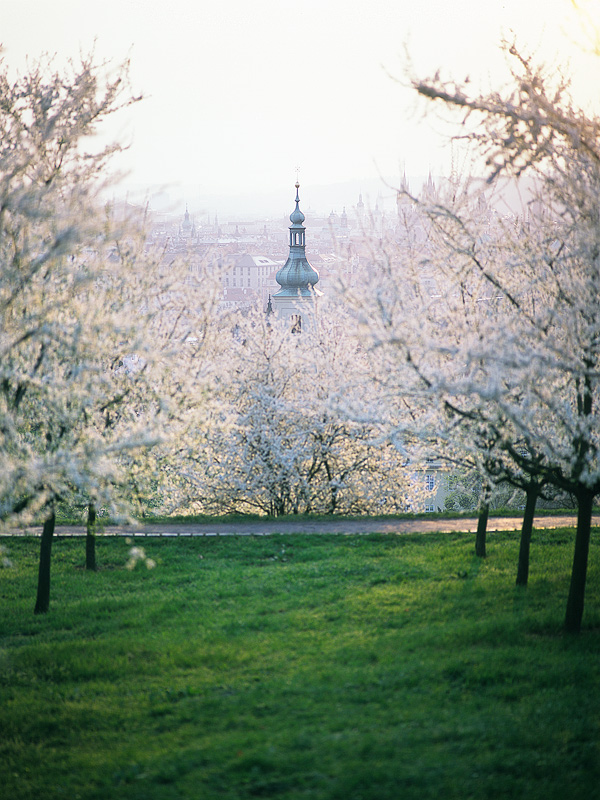  Fotografie Jarní Praha