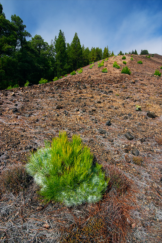  Fotografie Krajina vulkánů, Kanárské ostrovy