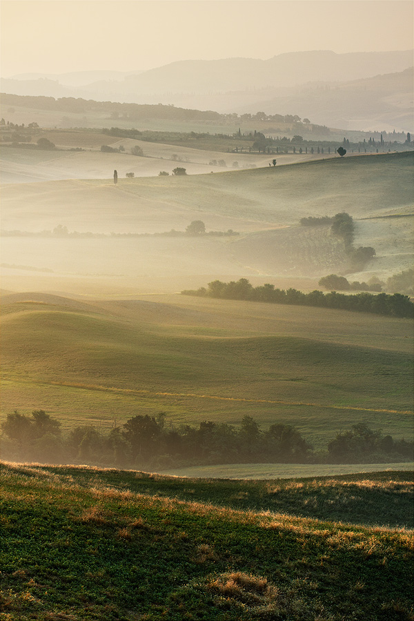  Fotografie Letní ráno
