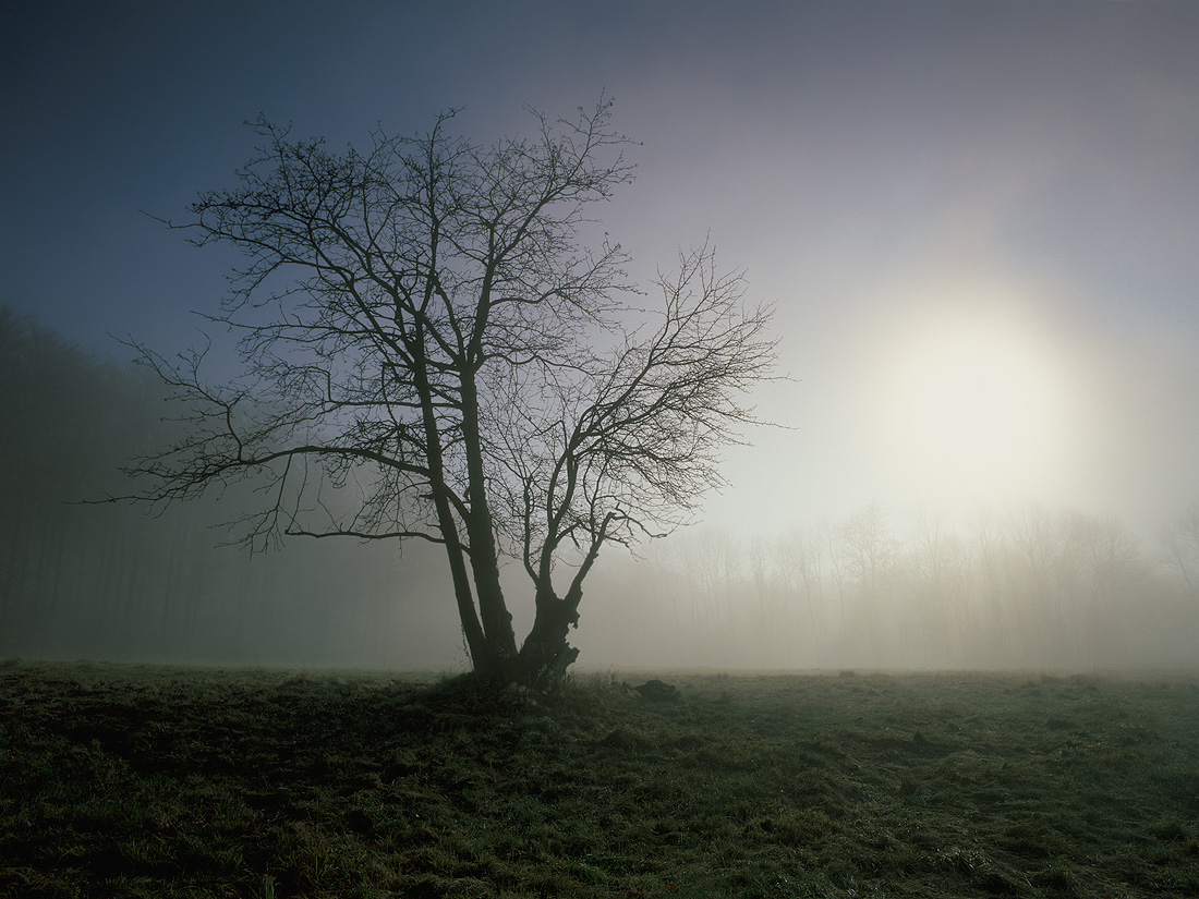  Fotografie Strašidelný