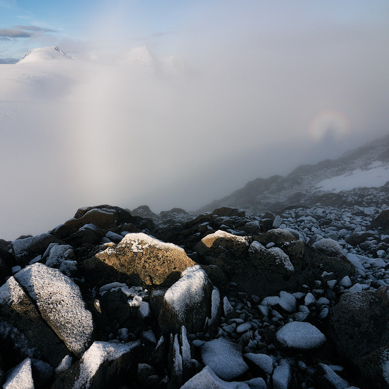  Fotografie Alpská gloriola