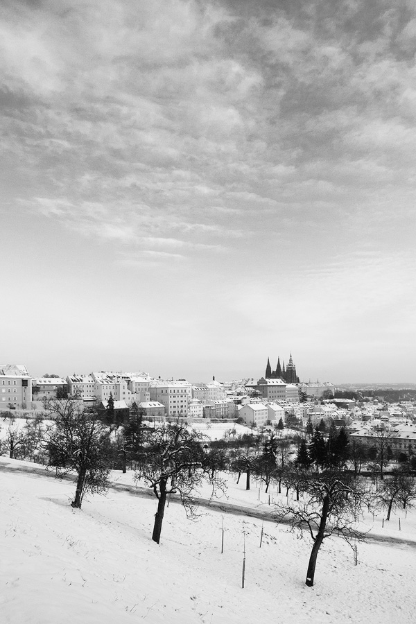  Fotografie Pražský hrad v zimě