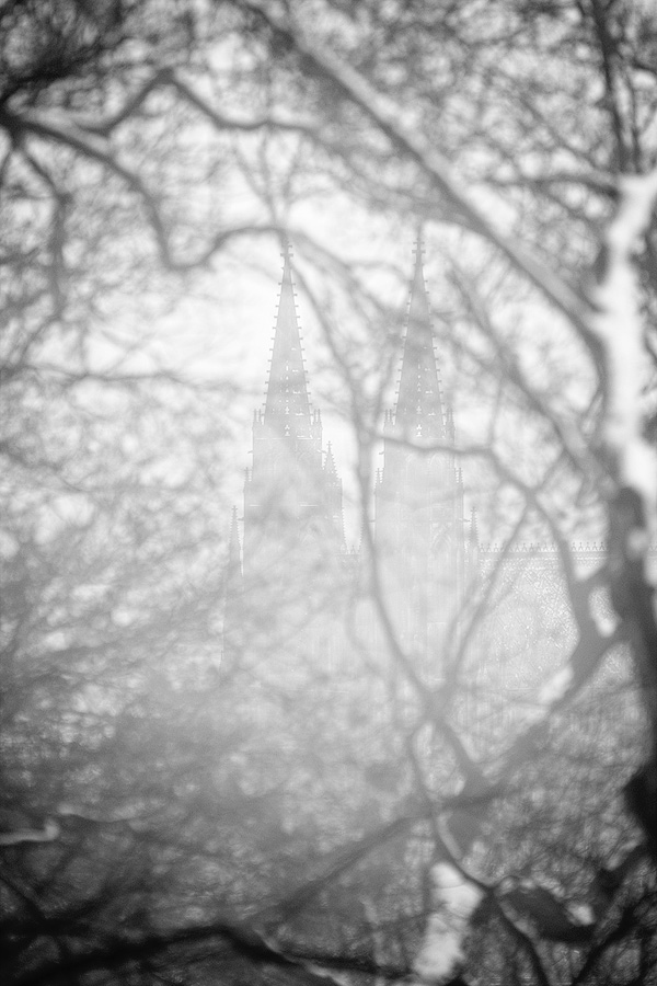  Fotografie Pražský hrad z Petřína