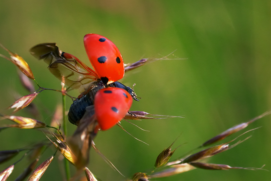  Fotografie Vzhůru do světa, Praha - Hostivař