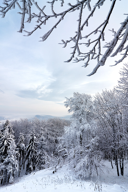  Fotografie Zimní krajina