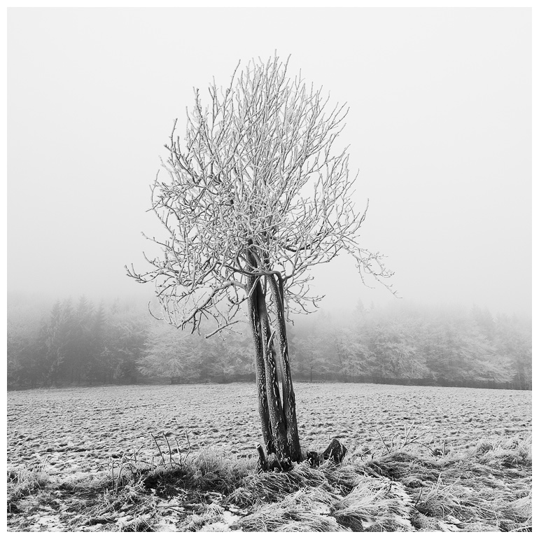  Fotografie Zima, Lužické hory