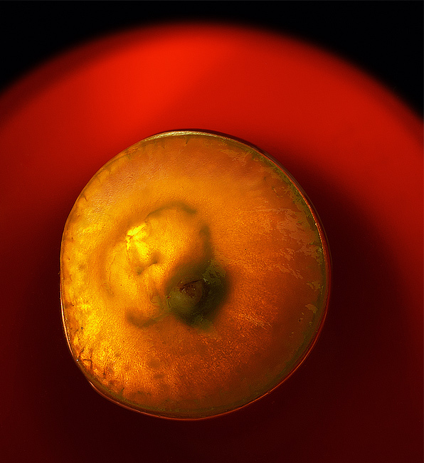  Fotografie Hroznové víno