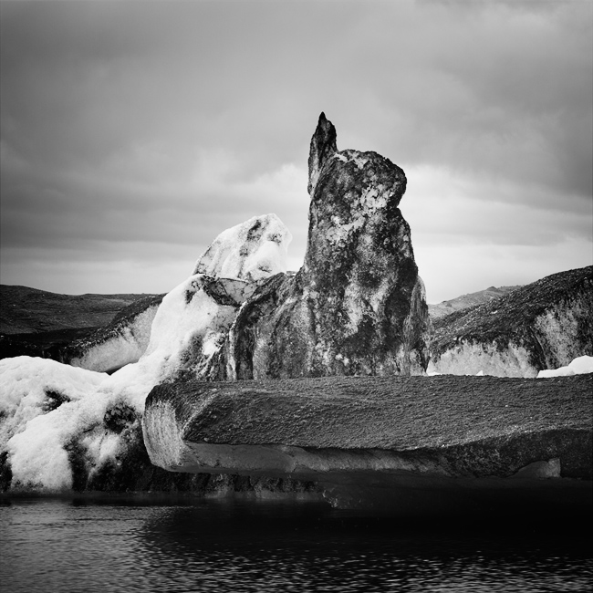  Fotografie Zamrzlý zajíc