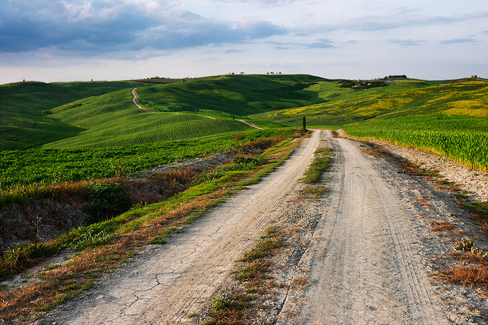 Fotografie Itálie, Toskánsko - Jemně zvlněná jerní krajina toskánské oblasti Crete Senesi ve střední Itálii.