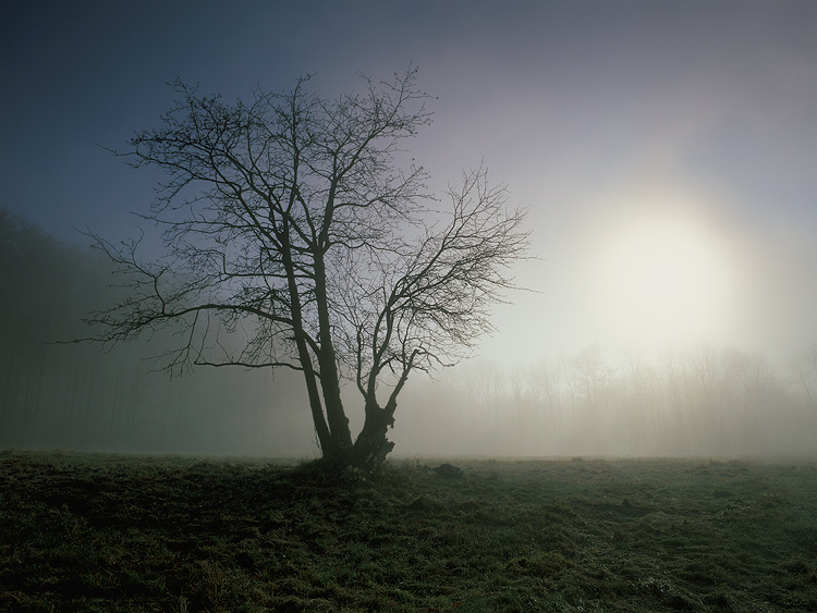  Fotografie Strašidelný
