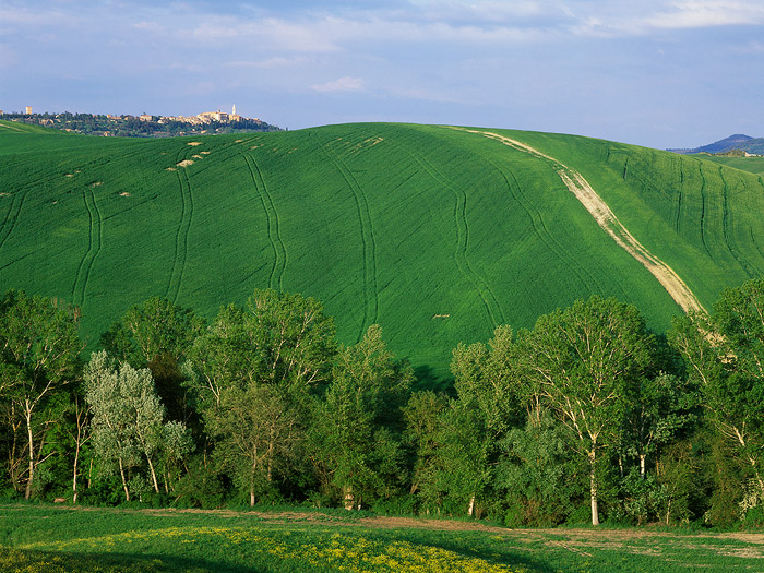  Fotografie Pod Pienzou