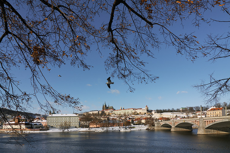  Fotografie Pražský hrad z vltavského nábřeží