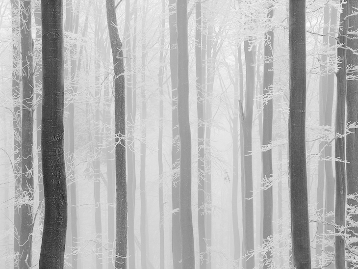  Fotografie Mrazivá - Mrazivé počasí na Studenci v Lužických horách.