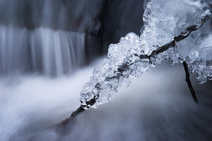  Fotografie Zimní království, Průhonický park - Zima na potoce v Průhonickém parku.