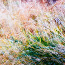 fotografie Abstraktní