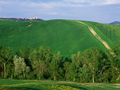 fotografie Pod Pienzou