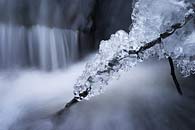 Wallpaper pro Váš počítač - Zimní království, Průhonický park